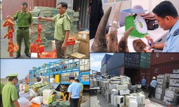 Cao điểm chống buôn lậu, gian lận thương mại trước, trong và sau Tết Nguyên đán