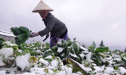 Chuyên gia cảnh báo đợt không khí lạnh rất mạnh, nhiệt độ có thể dưới 0 độ C