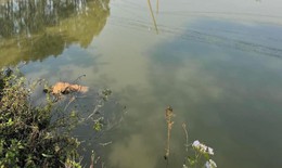Tìm nhân thân nam thanh niên tử vong tại ao cá ở Bắc Giang