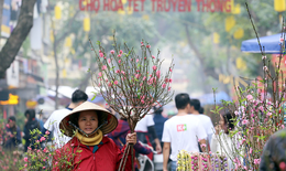 H&#224; Nội sẽ tổ chức 91 điểm chợ hoa phục vụ Tết Nguy&#234;n đ&#225;n Qu&#253; M&#227;o 2023