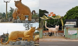 Đến hẹn lại lên, tạo hình linh vật mèo đón Tết Quý Mão ở các địa phương bắt đầu gây "sốt"