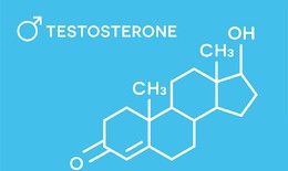 Testosterone có vai trò thế nào trong cơ thể nữ giới?