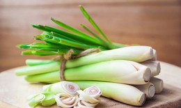 Món ăn, bài thuốc chữa bệnh từ cây sả dễ thực hiện