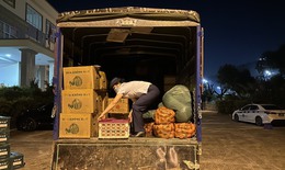 Liên tiếp phát hiện hơn 1 tấn hoa quả nhập lậu trong đêm