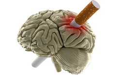 Người hút thuốc lá có thể bị mất trí nhớ, suy giảm nhận thức