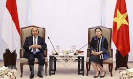 Quốc hội Indonesia mong muốn thúc đẩy hợp tác toàn diện với Việt Nam