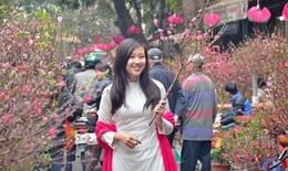 Chi tiết các tuyến đường bị cấm ở Hà Nội để phục vụ chợ hoa Tết Quý Mão 2023