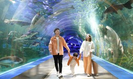 Đón Tết Dương lịch ở Hà Nội với loạt địa điểm 'trốn rét' đầy hấp dẫn