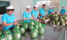 Việt Nam xuất khẩu nông sản năm 2022 lập kỷ lục mới