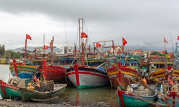 Lễ cầu ngư của làng biển 400 tuổi tại Quảng Bình