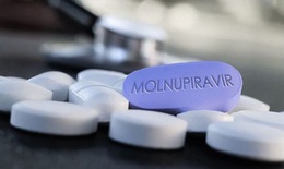 Thuốc kh&#225;ng virus Molnupiravir c&#243; g&#226;y yếu sinh l&#253;?