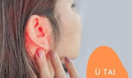 Giải pháp từ thảo dược hỗ trợ giảm triệu chứng  ù tai, nghe kém