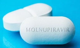 Những đối tượng nào không được dùng Molnupiravir trong chữa trị COVID-19?