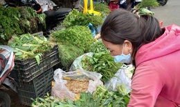 Lá xông 'đắt như tôm tươi' mùa COVID