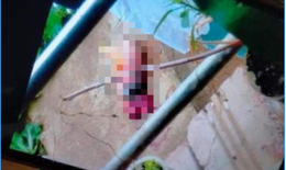 Xác minh thông tin nữ sinh lớp 11 sinh con rồi vứt bỏ trong trường học ở Sơn La 