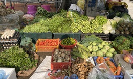 Rét đậm kéo dài, tiểu thương bán cải ngồng gần 30.000 đồng/kg vẫn không có lãi