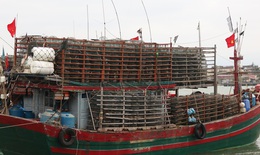 Quảng Bình: Vào mùa cao điểm đánh bắt nhưng nhiều tàu cá nằm bờ dài ngày chờ xăng, dầu xuống giá