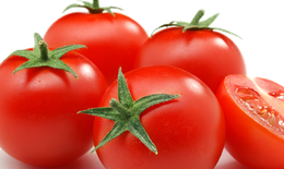 Cà chua - Thực phẩm bổ dưỡng, vị thuốc quý