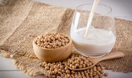 Ăn gì khi bị dị ứng sữa hoặc không dung nạp lactose?