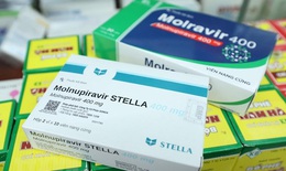Tái nhiễm COVID-19 có được dùng thuốc đặc trị Molnupiravir lần 2 không?