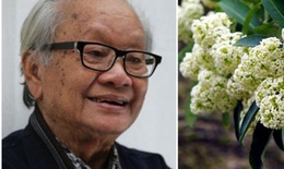 Nhạc sĩ Hồng Đăng, tác giả của ca khúc ‘Hoa sữa’ qua đời