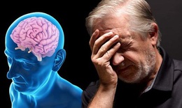 Ứng vi&#234;n thuốc mới gi&#250;p ngăn ngừa suy giảm nhận thức ở bệnh Alzheimer