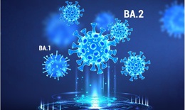 Omicron 'tàng hình' BA.2 - Triệu chứng, khả năng lây truyền và những điều cần biết