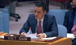 Việt Nam ủng hộ và sẵn sàng tham gia các nỗ lực nhân đạo đối với Ukraine