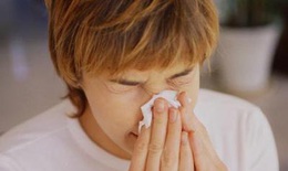 Thảo dược hỗ trợ điều trị cảm sốt