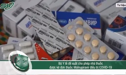 Bộ Y tế đề xuất nhà thuốc được kê đơn bán thuốc Molnupiravir điều trị COVID-19