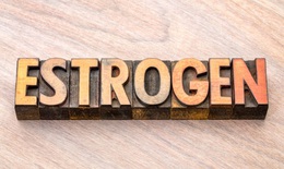 8 thực phẩm bổ sung estrogen dành cho phụ nữ