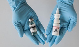 Bước nhảy vọt tiếp theo trong phát triển vaccine COVID-19 có thể là thuốc xịt mũi