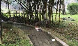 Thi thể cháy xém ở công viên và hành trình lật mặt gã bạn cũ tàn độc