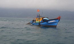 Thừa Thiên Huế: Bắt giữ tàu giã cào khai thác tận diệt hải sản 