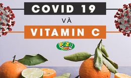 Cúc tím - thảo dược hỗ trợ hiệu quả cho bệnh đường hô hấp