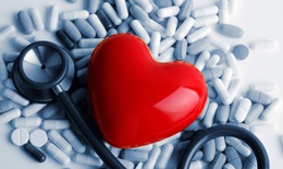 Tại sao nitric oxide lại quan trọng đối với sức khỏe tim mạch?
