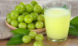 Chiết xuất quả me rừng - Dược liệu quý cho người tiểu đường