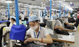 Rút bảo hiểm xã hội 1 lần - Lợi trước mắt, hại lâu dài
