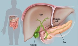  Ung thư tụy: Ti&#234;n lượng bệnh v&#224; c&#225;ch ph&#242;ng ngừa 