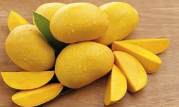 Xoài ngon ngọt, người bệnh đái tháo đường có nên ăn?