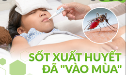 'Rơi đúng' chu kỳ sốt xuất huyết, phân biệt với sốt do COVID ở trẻ thế nào?