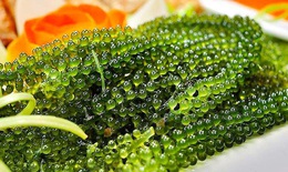 Tháng 4, đúng vụ rong nho tươi, vừa xanh, giá thành hạ nhiệt bất ngờ, chị em tích cực chốt đơn từ đầu tháng