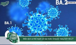 Omicron BA.2 cực kỳ gây lây nhiễm, có khả năng lây truyền trong không khí