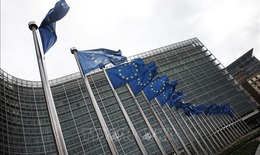 EU thông báo hội nghị thượng đỉnh bất thường vì Ukraine