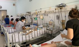 TP.HCM có 6 ca tử vong, 158 ca nặng do sốt xuất huyết