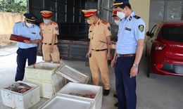 Hơn 1 tạ nội tạng động vật bốc mùi hôi thối suýt bị tuồn ra thị trường tiêu thụ