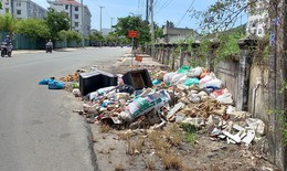 Xả rác bừa bãi ở thành phố du lịch biển