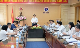 Bộ Y tế phối hợp chặt chẽ với tỉnh Hà Tĩnh chuẩn bị các hoạt động tôn vinh Đại danh Y Hải Thượng Lãn Ông Lê Hữu Trác