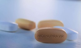Thêm 1 thuốc Molnupiravir điều trị COVID-19 sản xuất trong nước được cấp phép