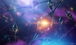 Phát hiện cơ chế đột biến gene gây chứng tự kỷ